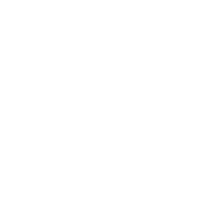 Studio Veinard