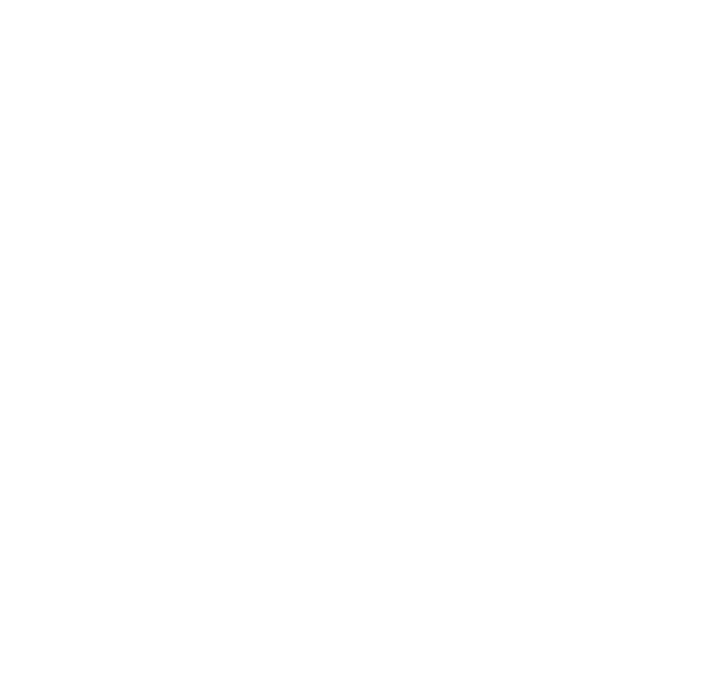 Studio Veinard