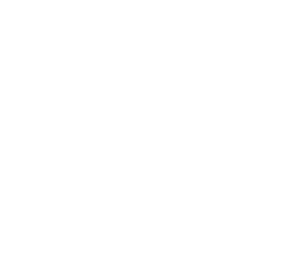 Rock en Seine